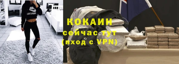 стаф Арсеньев