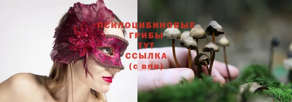 метадон Аркадак