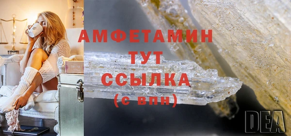 стаф Арсеньев