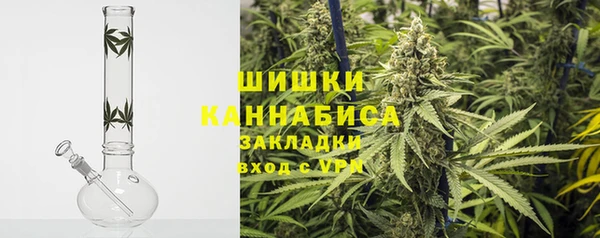 стаф Арсеньев