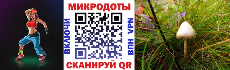 Галлюциногенные грибы мухоморы  цены наркотик  Афипский 